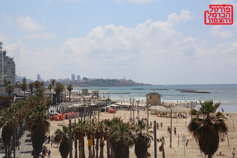 פתיחת עונת הרחצה