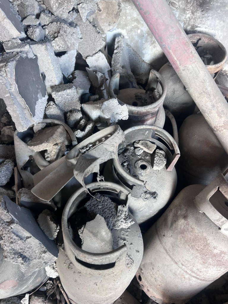 פורטל הכרמל