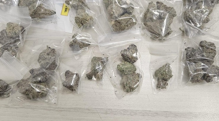 פורטל הכרמל