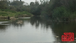 חיזוק יכולות הפיתוח של משק המים והביוב