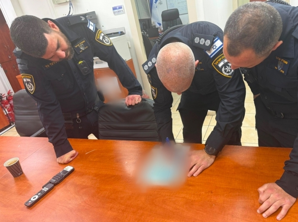 פורטל הכרמל