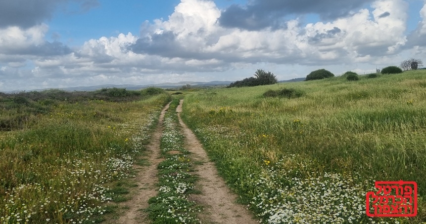 טבע בחוף הבונים