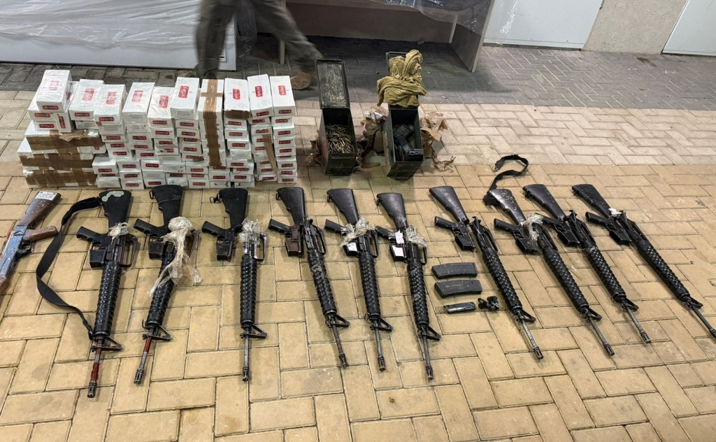 פורטל הכרמל