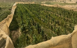 מבצע מכת סדר בביר הדאג’ בנגב