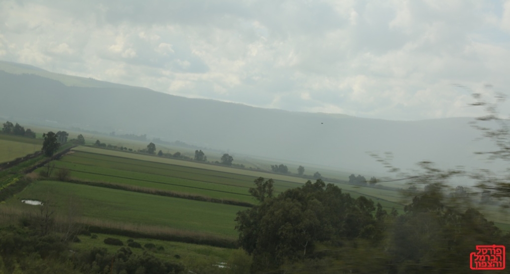 פרשת השבוע תזריע מצורע