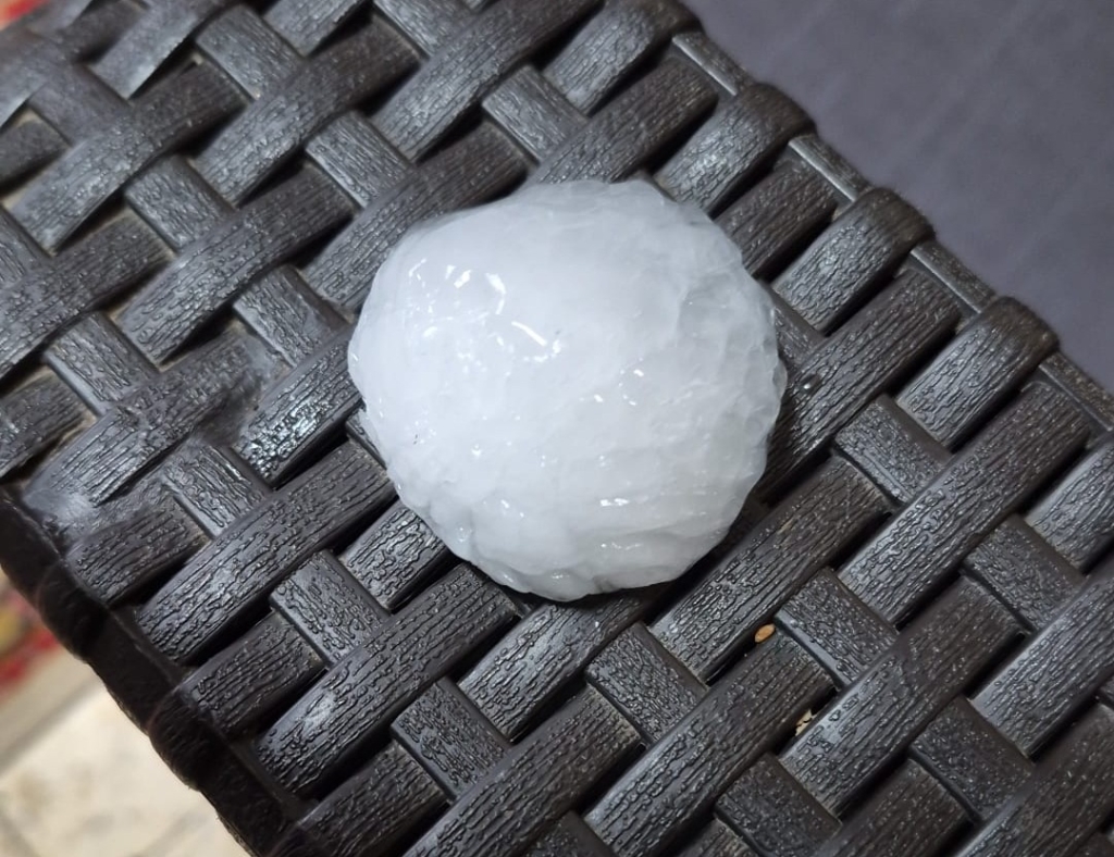 פורטל הכרמל