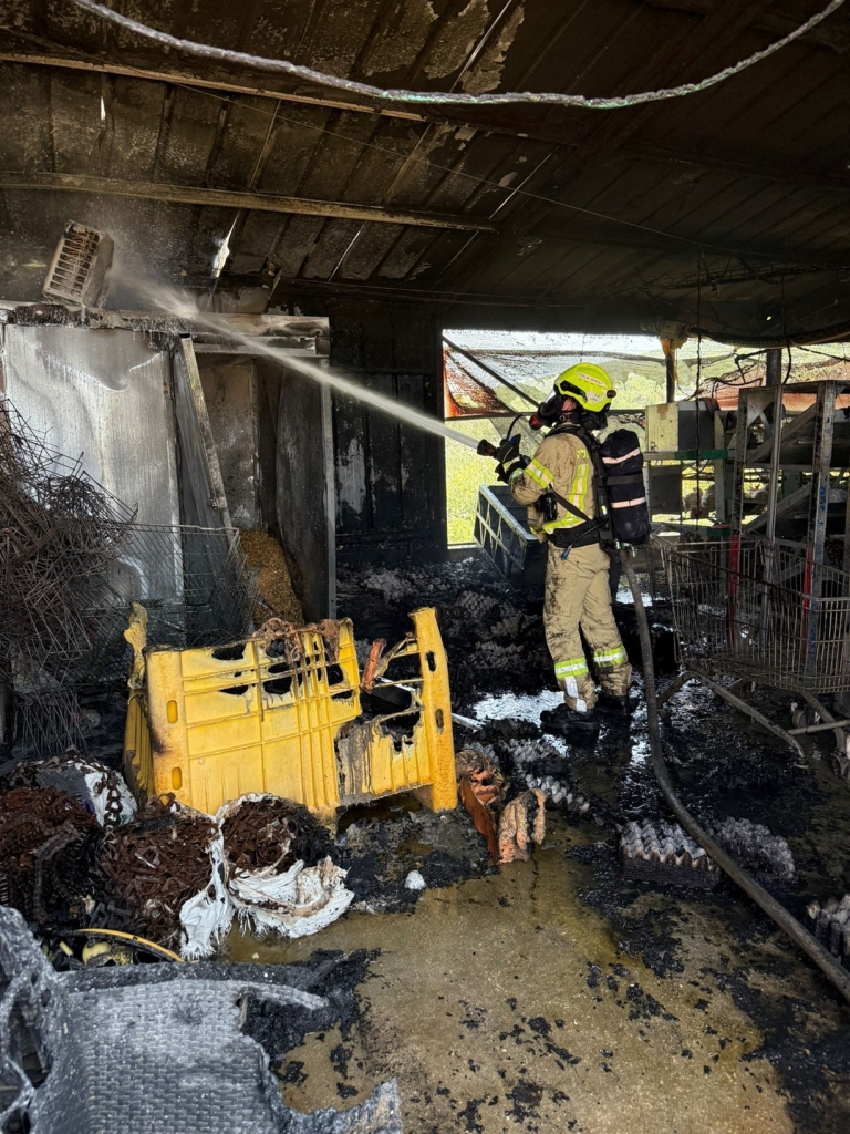 פורטל הכרמל