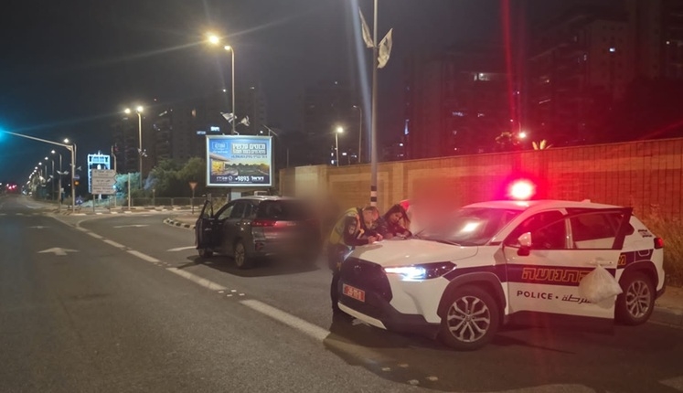 פורטל הכרמל