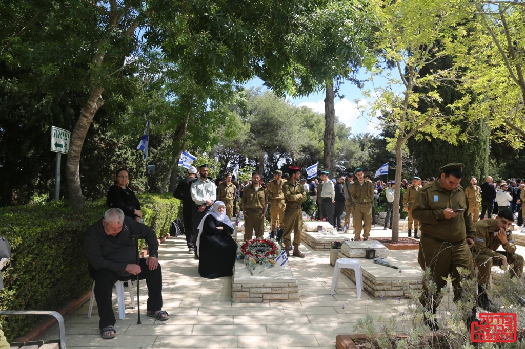 פורטל הכרמל