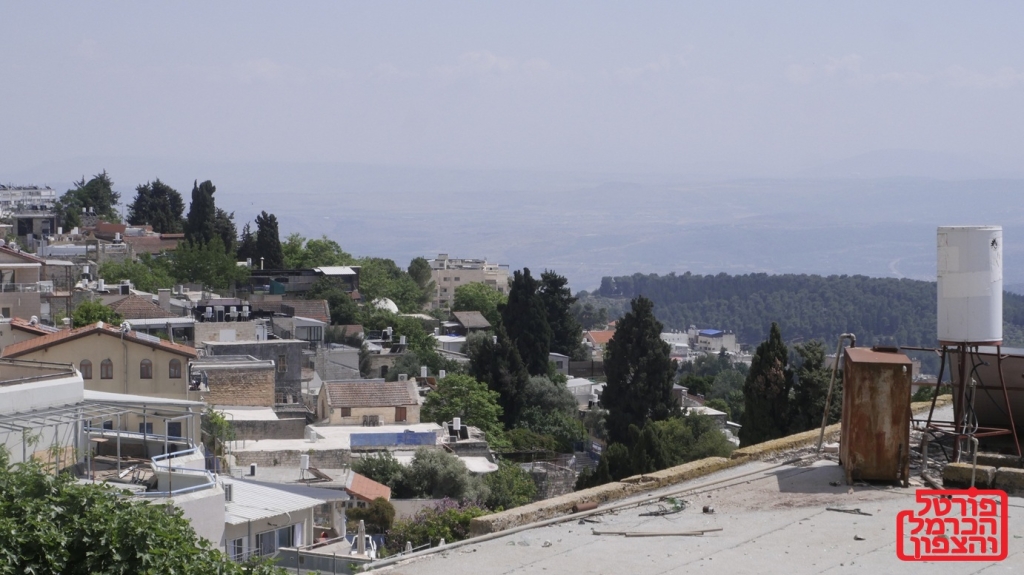 פורטל הכרמל