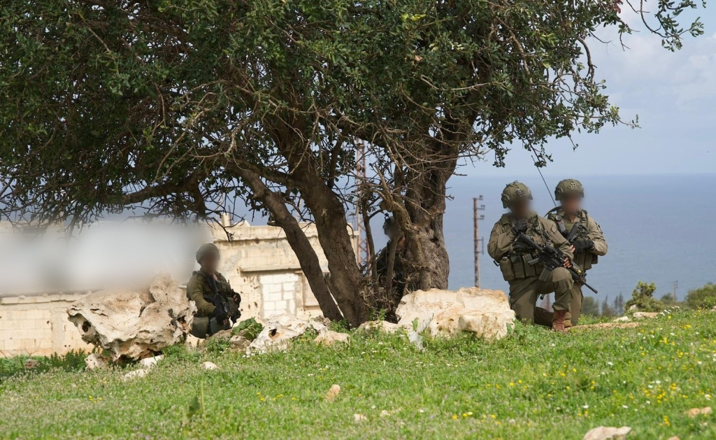 פורטל הכרמל