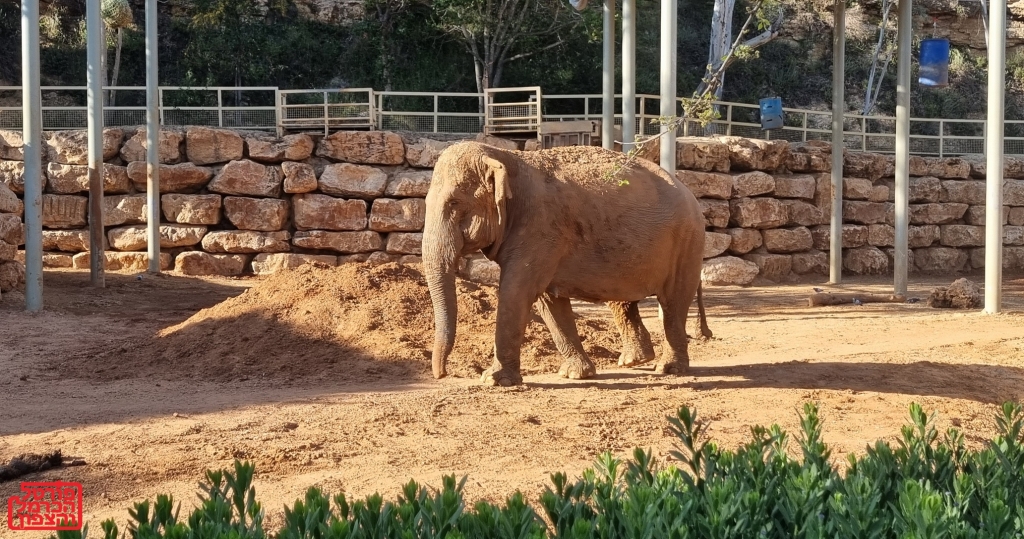 פורטל הכרמל