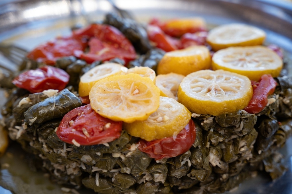 הגליל חוזר לחיים