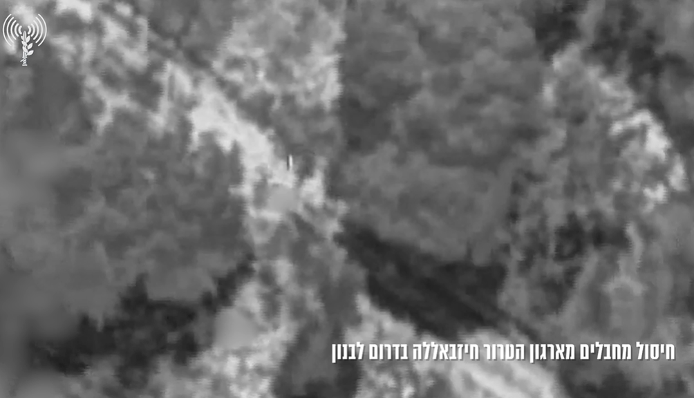 חיסול מחבלי חיזבאללה