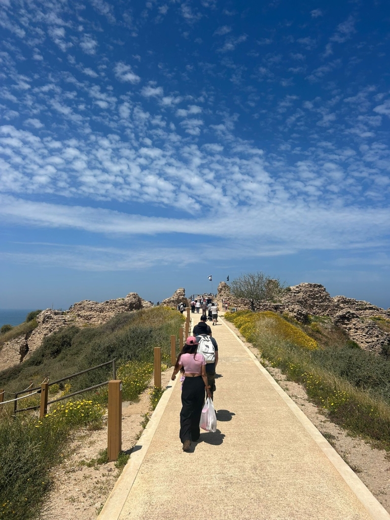 פורטל הכרמל