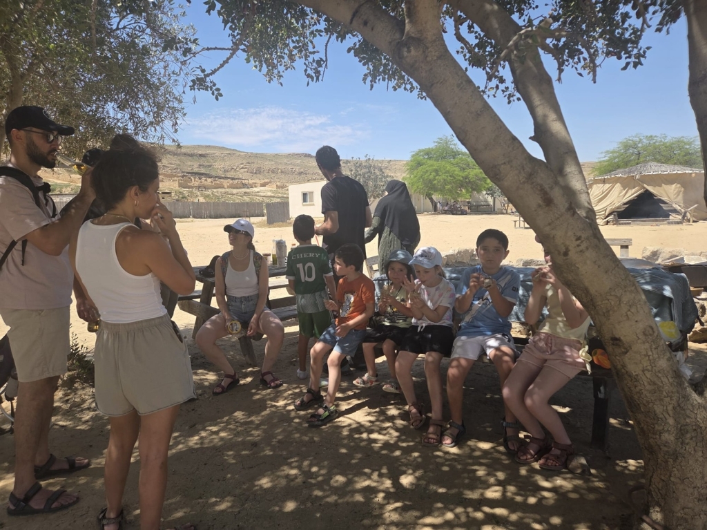 פורטל הכרמל