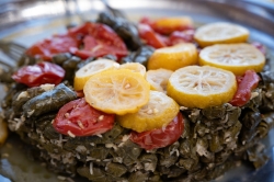 הגליל חוזר לחיים