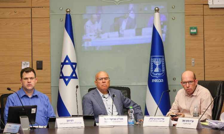 פורטל הכרמל