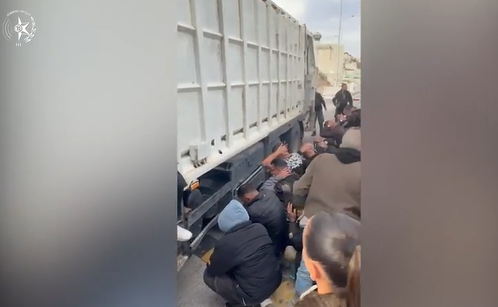 פורטל הכרמל