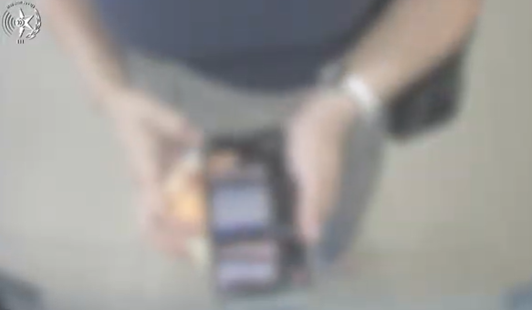 פורטל הכרמל