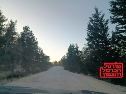 תושב דאלית אל כרמל יורשע בתקיפת שוטרים