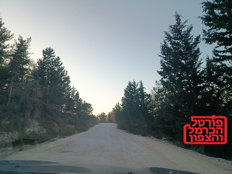 תושב דאלית אל כרמל יורשע בתקיפת שוטרים