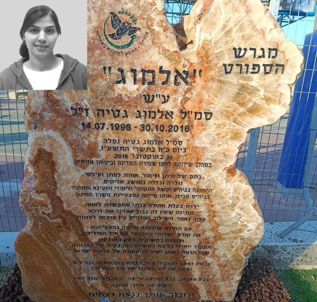 פורטל הכרמל