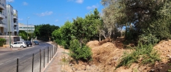 נחל עובדיה צעד משמעותי