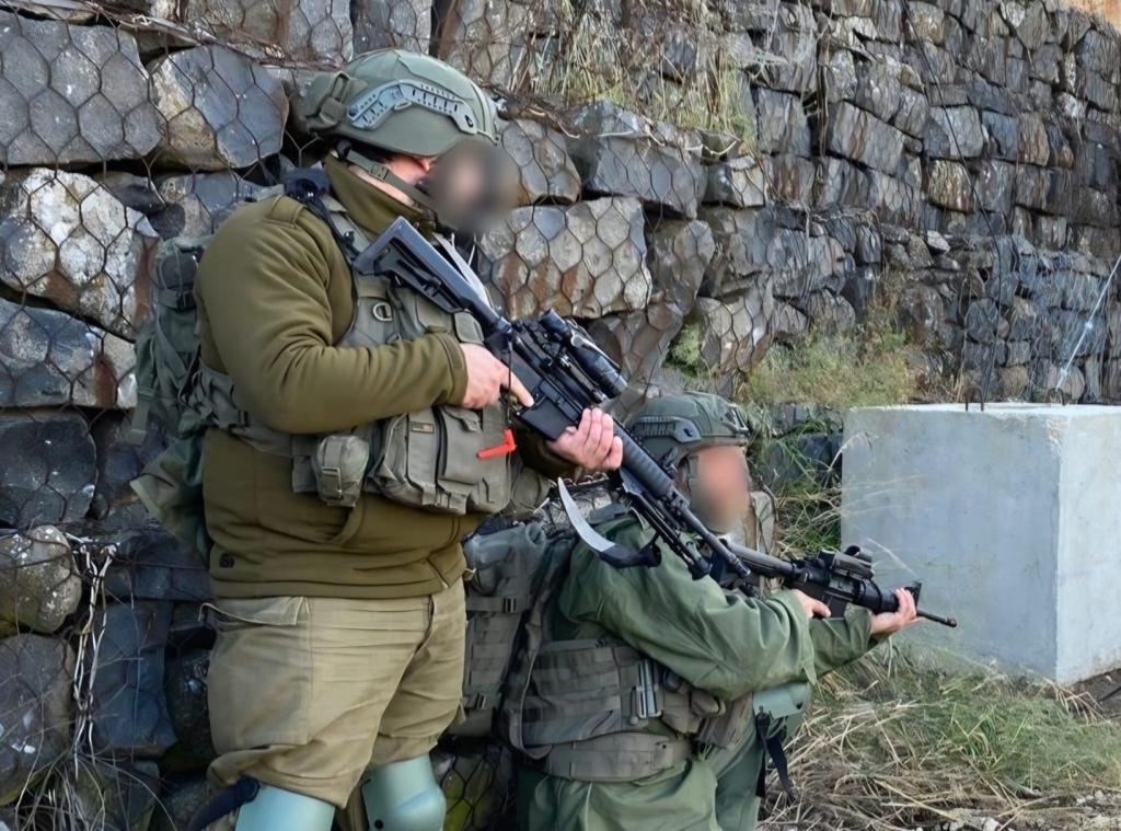 פורטל הכרמל