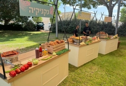 מתכננים אירוע בקיץ? אל תסגרו קייטרינג לפני שתקראו את המדריך הזה
