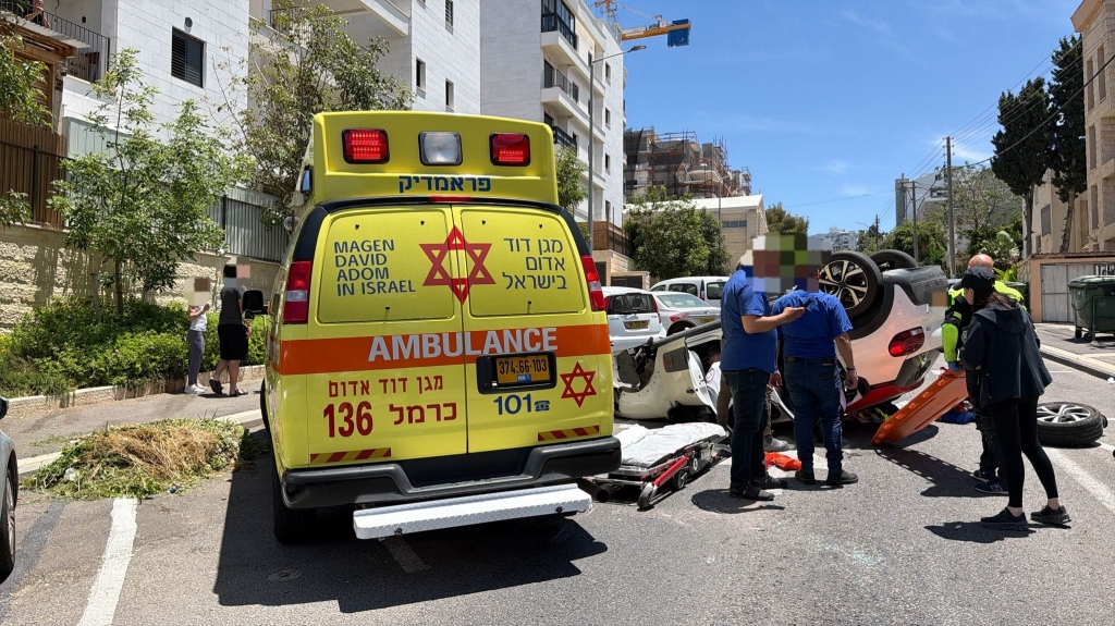פורטל הכרמל
