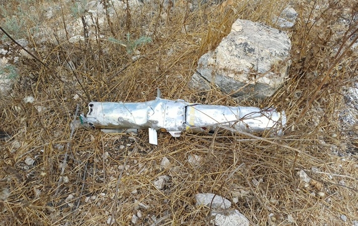 פורטל הכרמל