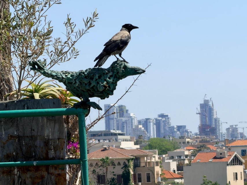 עורב יושב על פסל עורב