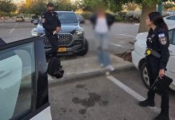 העבירה רכבים מהשטחים לארגוני פשיעה לתוך דאלית אל כרמל