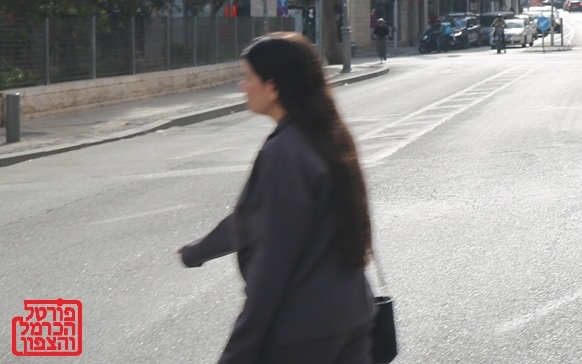 הדרוזיות שפנו לוועדות להפסקת הריון