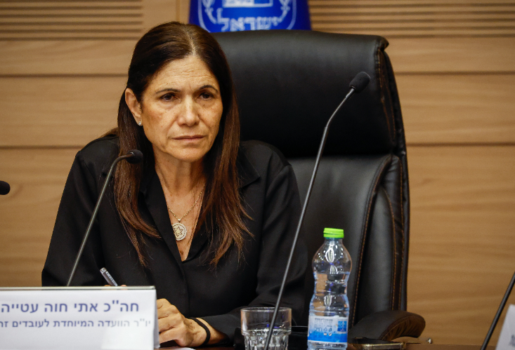 פורטל הכרמל