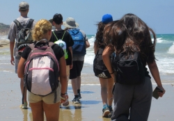 מיום נינג'ה ועד לפסגת הקילימנג'רו