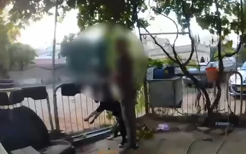התעללות בבעל חיים בג'סר א־זרקא