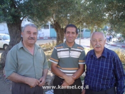 עלי ביראני ז