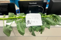 שני גברים הורעלו לאחר שאכלו מצמח טבק השיח