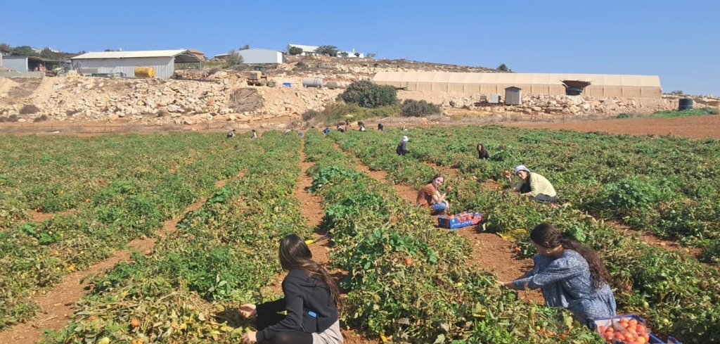 ידיים באדמה