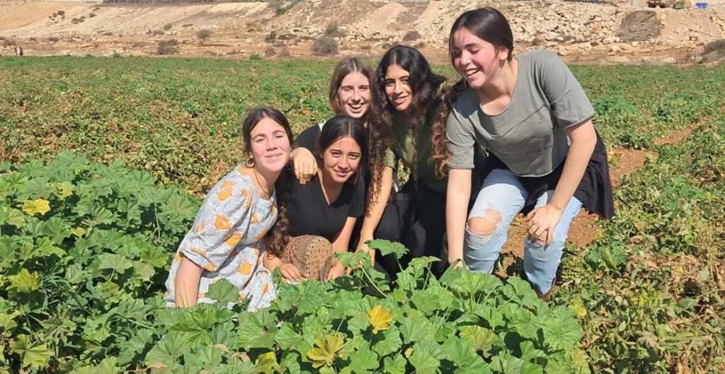 פורטל הכרמל
