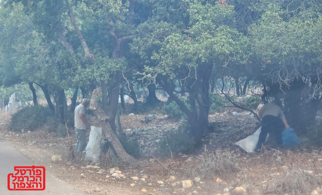 פורטל הכרמל