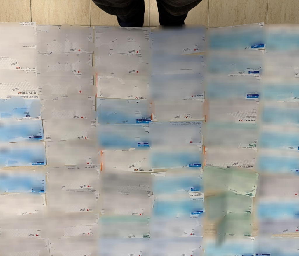 פורטל הכרמל