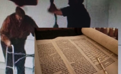 פרשת כי תצא מסרון מהפרשה