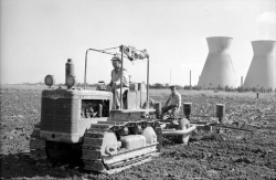 זריעה ב 1950