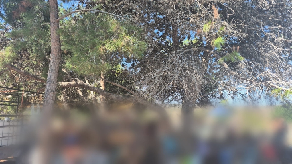 שתי מסיבות טבע ופיזרו 