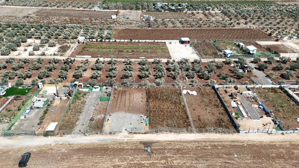 פורטל הכרמל
