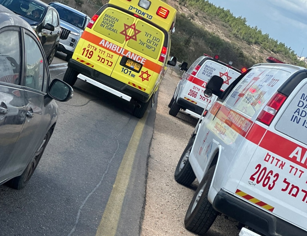 פורטל הכרמל