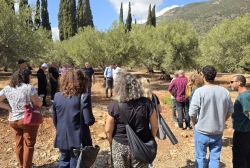 השתלמות מיוחדת למורי דרך לקראת פסטיבל ענף הזית